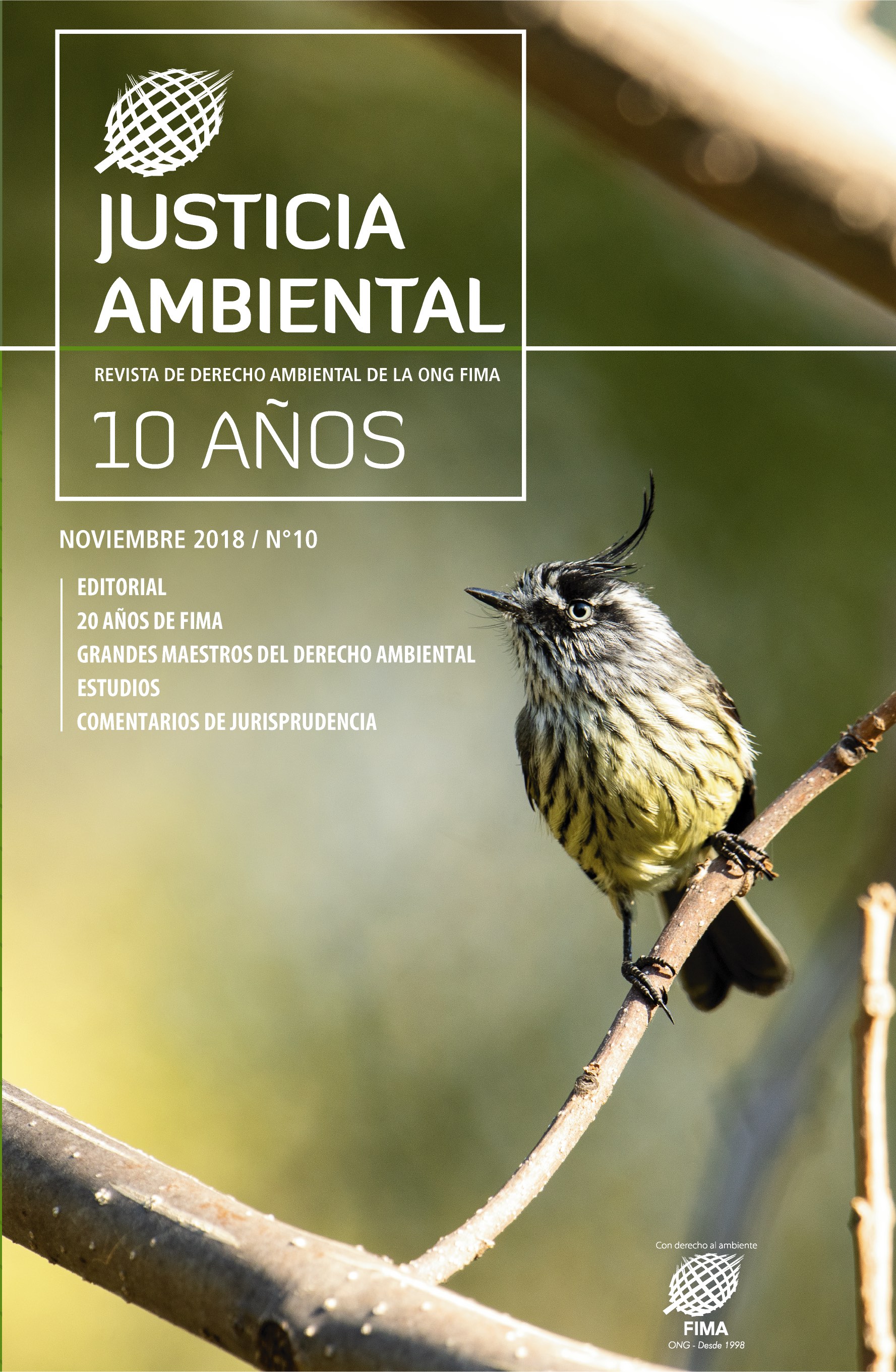 Portada Revista Justicia Ambiental 10